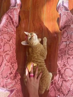 Women Western Boots Snake Pattern Pointed Toe Over The Knee Boots Leather Chunky Heel Thigh High Boots 13 Women Western Boots Snake Pattern Pointed Toe Over The Knee Boots Leather Chunky Heel Thigh High Boots -winter shoes Sales 2023 32f3968e ff24 40fc 8600 a271fdaca909