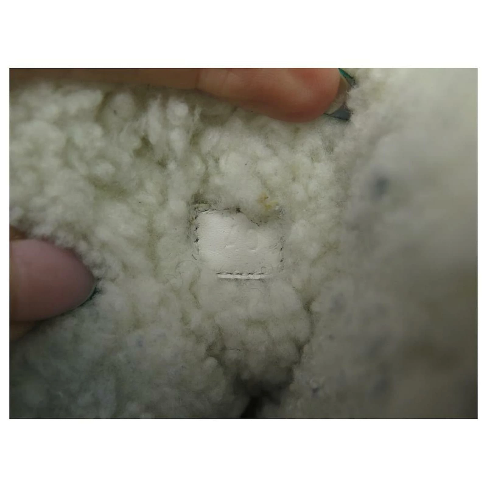 FENDI SHOES BOOTS T-REX ZUCCA CANVAS & LEATHER 40 IT 41 EN SNOW BOOTS 9 FENDI SHOES BOOTS T-REX ZUCCA CANVAS & LEATHER 40 IT 41 EN SNOW BOOTS - Image 9